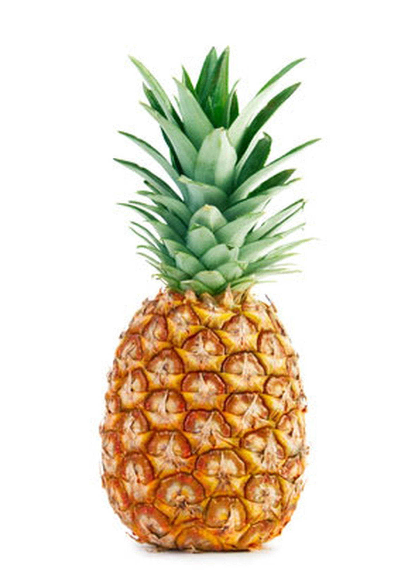 Pineapple__42410.1494303051.jpg